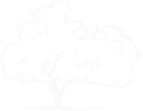 logo-scierie-de-Cornouaille-arbre-blanc