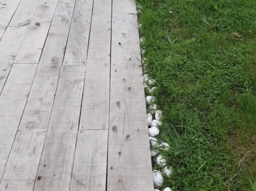 terrasse cyprès lambert