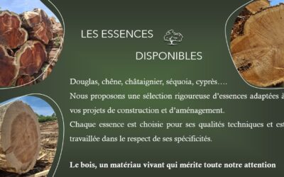 Douglas-sequoia-Cypres-thuya-chene-chataignier-boislocal-1-1336356405003363-400x250