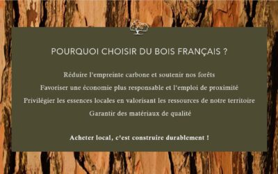 boislocal-Ecoresponsable-foretdurable-respectdelanature-emploilocal-1-1331354555503548-400x250